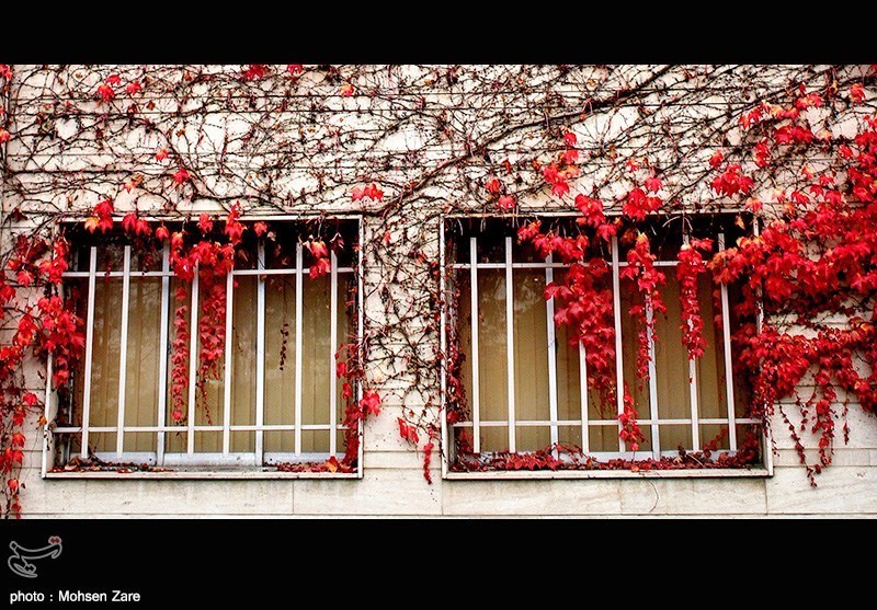 سفر به بهشت در پاییز زیبای اردبیل/ شگفتانگیزترین مناظر را اینجا ببینید + فیلم و تصاویر