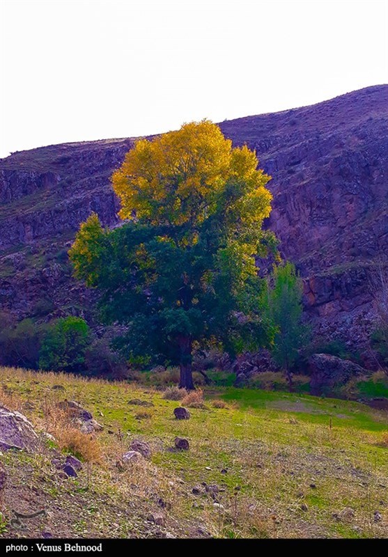 سفر به بهشت در پاییز زیبای اردبیل/ شگفتانگیزترین مناظر را اینجا ببینید + فیلم و تصاویر
