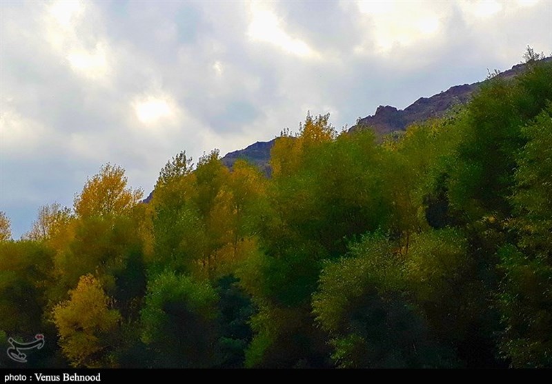 سفر به بهشت در پاییز زیبای اردبیل/ شگفتانگیزترین مناظر را اینجا ببینید + فیلم و تصاویر