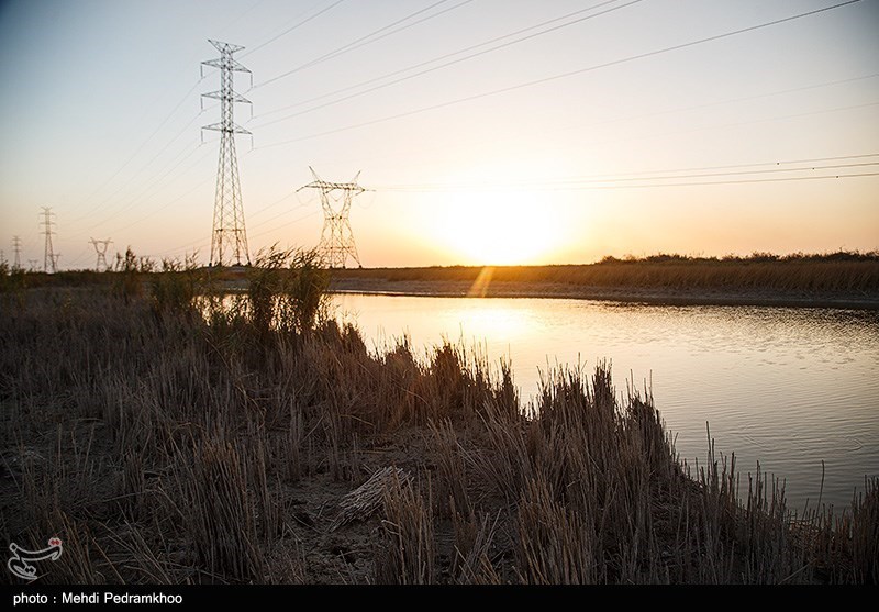 آتشسوزی ۱۷۰۰ هکتار از تالاب هورالعظیم را خاکستر کرد/ موافقت رئیسجمهور با سند گردشگری تالاب شادگان