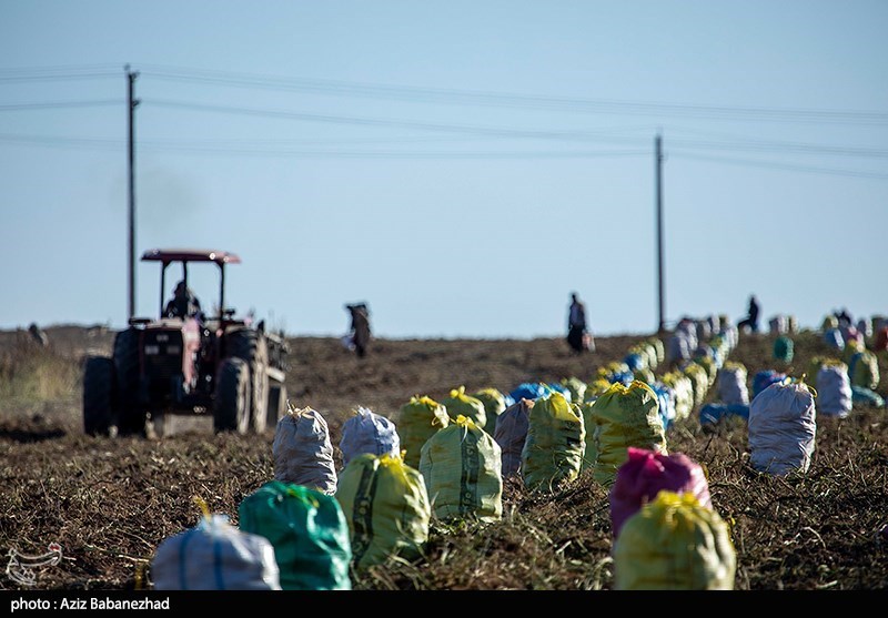 استان لرستان , بحران آب , کشاورزی , اخبار خشکسالی | خشکسالی ,