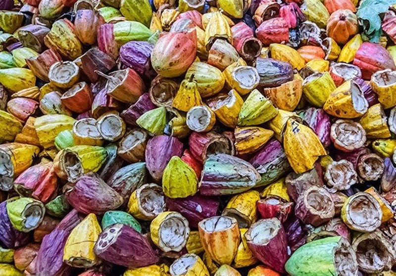 اخبار همدان , اخبار استان همدان ,