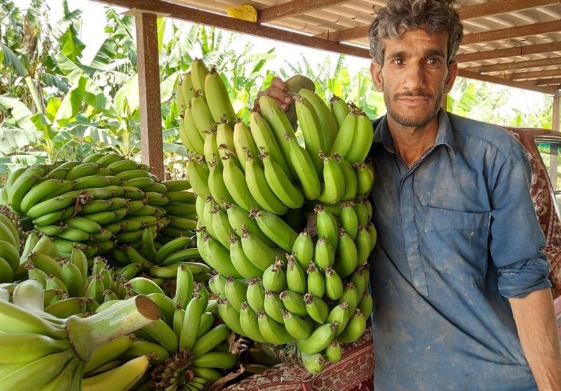 اخبار بلوچستان , اخبار چابهار ,