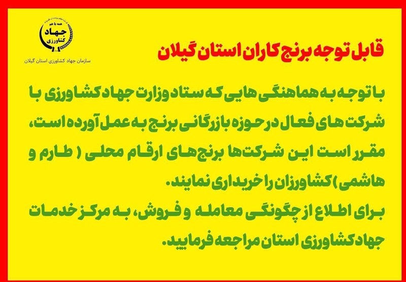 واردات برنج ,