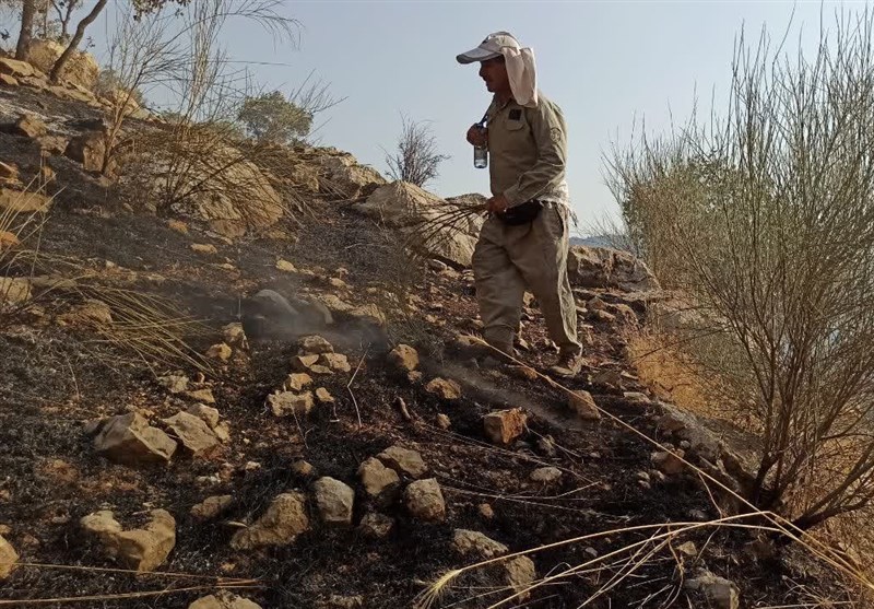 آتش سوزی جنگل ها و مراتع ,