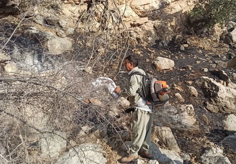 آتش سوزی جنگل ها و مراتع ,