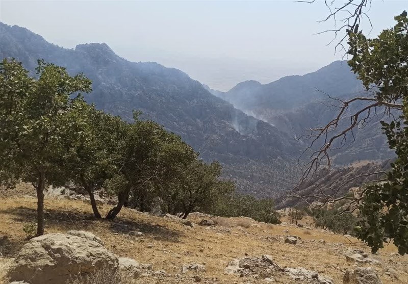 آتش سوزی جنگل ها و مراتع ,