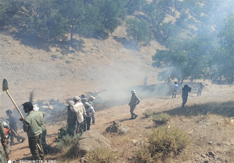 آتش سوزی جنگل ها و مراتع , کشاورزی ,