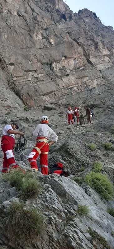 پایش و نظارت در محیط زیست ,