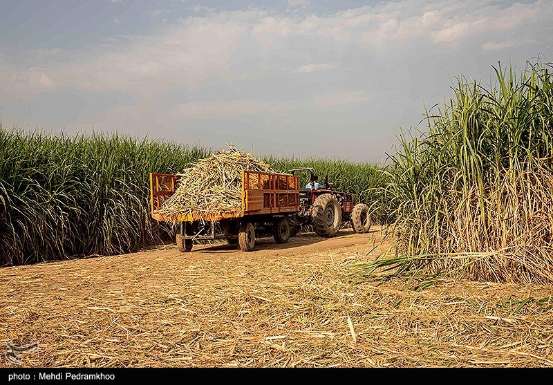 آتشسوزی ۱۷۰۰ هکتار از تالاب هورالعظیم را خاکستر کرد/ موافقت رئیسجمهور با سند گردشگری تالاب شادگان