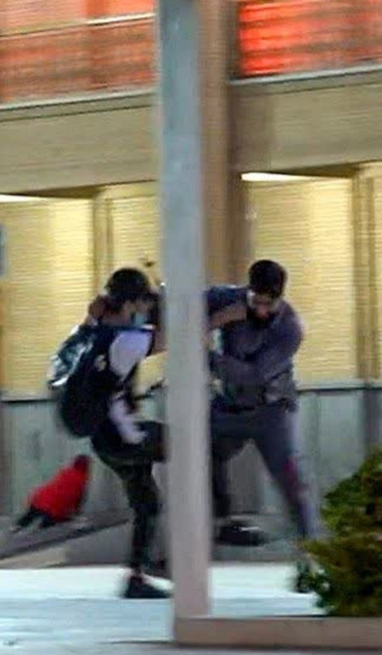 حمله تروریستی به شاهچراغ شیراز ,