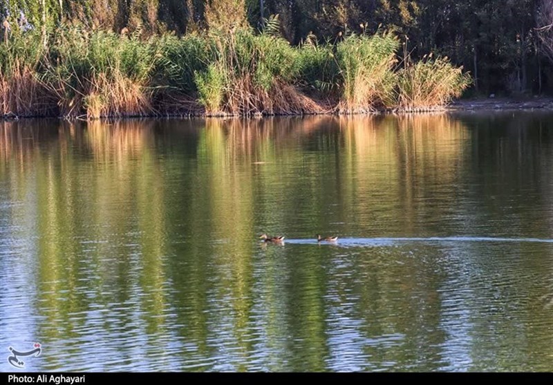 آذربایجان غربی ,