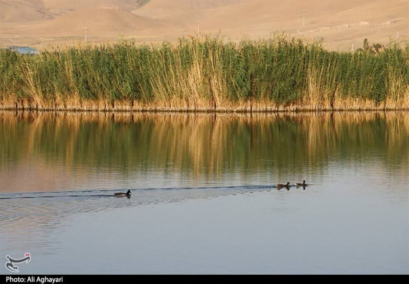 آذربایجان غربی ,