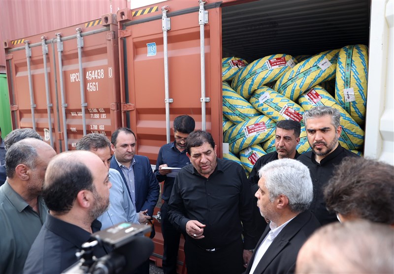 رسوب ۲۵ هزار کانتینر در گمرکات هرمزگان/ صدور اخطار ۱۵ روزه مخبر برای تعیین تکلیف اموال رسوبی و متروکه + تصاویر