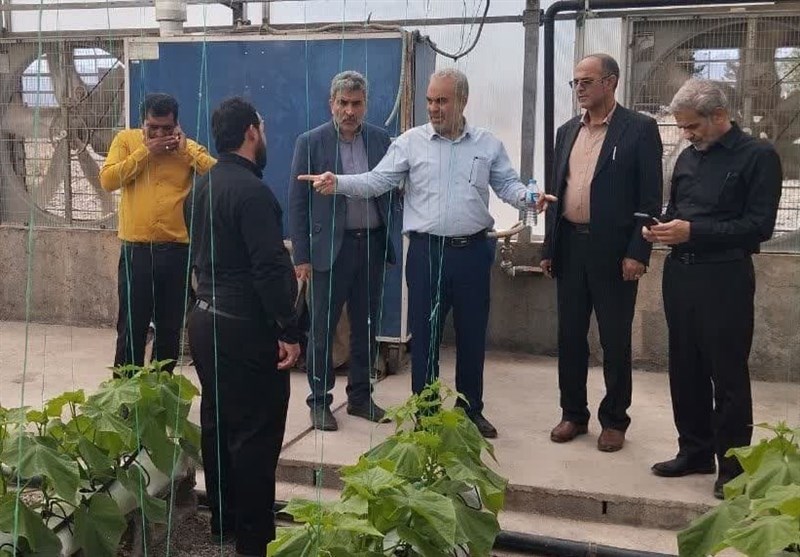حرفهآموزی و اشتغال یک امر بسیار مهم و حیاتی در زندانها است