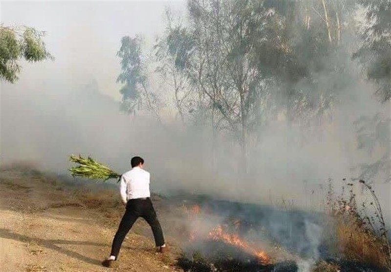 آتشسوزی در نهالستان منابع طبیعی سیروان + تصویر