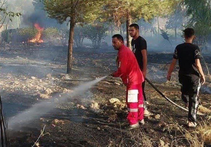 آتشسوزی در نهالستان منابع طبیعی سیروان + تصویر