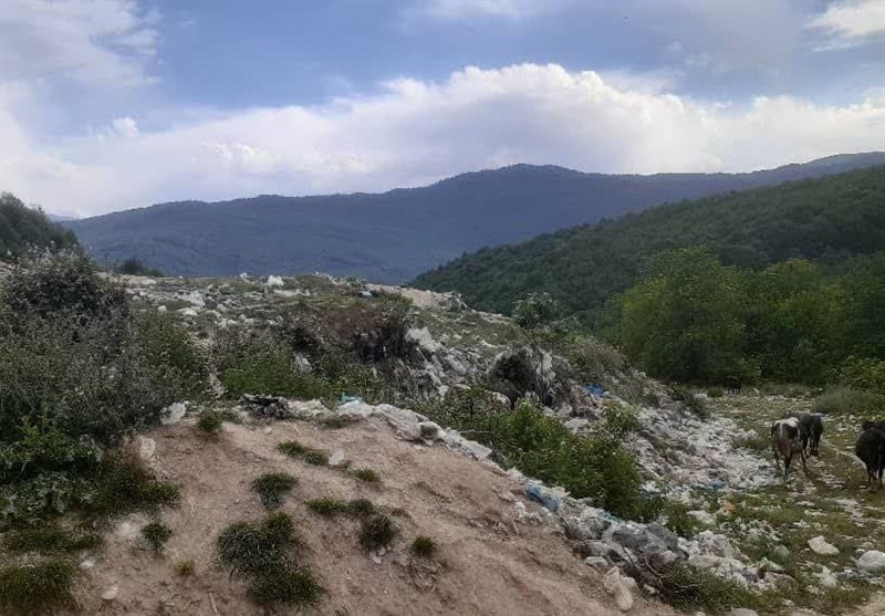 زخم عمیق دپوی زباله بر دل جنگلهای هیرکانی/ زبالههایی که شمال را میبلعد/ اینجا هم نفس کشیدن آرزو شد!