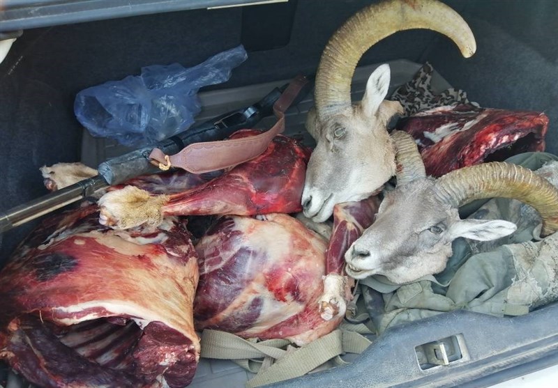 پایش و نظارت در محیط زیست ,