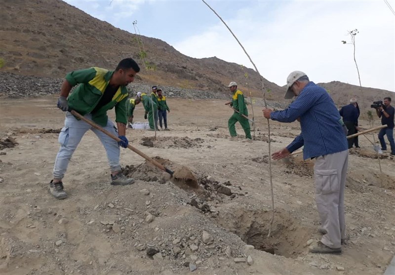 کاشت بذر و نهال در عرصه ۴۸۰ هکتار در سطح استان در دستور کار قرار دارد+ تصویر
