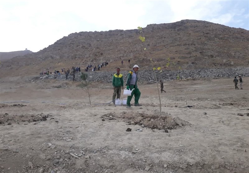 کاشت بذر و نهال در عرصه ۴۸۰ هکتار در سطح استان در دستور کار قرار دارد+ تصویر