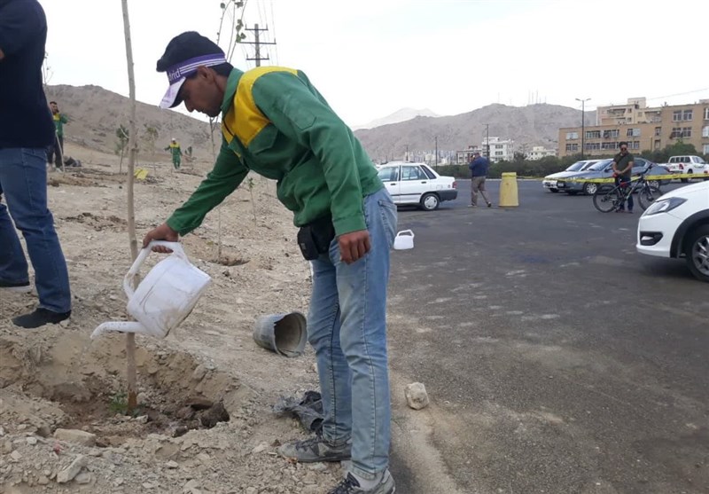 کاشت بذر و نهال در عرصه ۴۸۰ هکتار در سطح استان در دستور کار قرار دارد+ تصویر