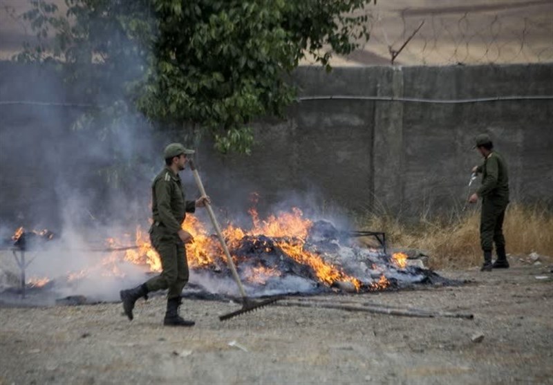 امحای ۸۶۰ کیلوگرم مواد مخدر در استان کرمانشاه + تصویر