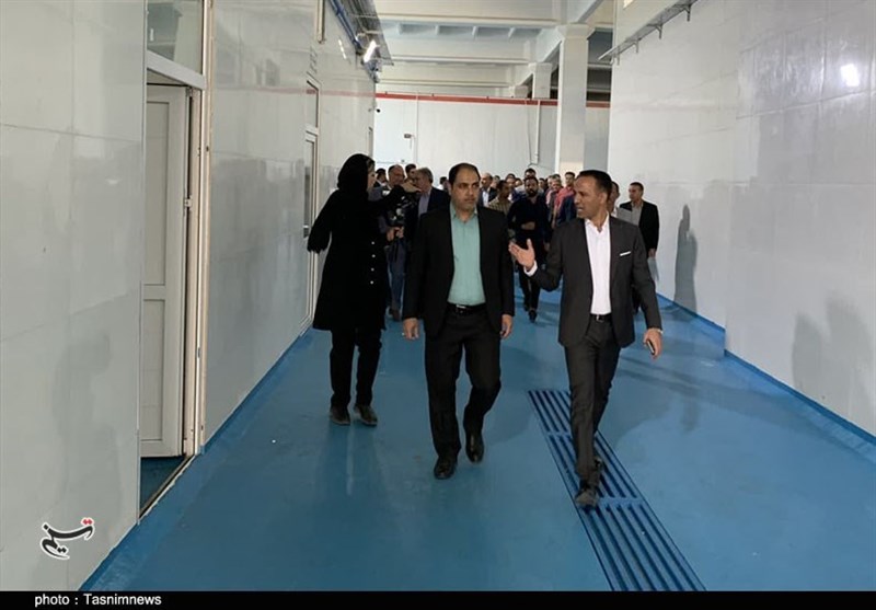 استان کرمان ,