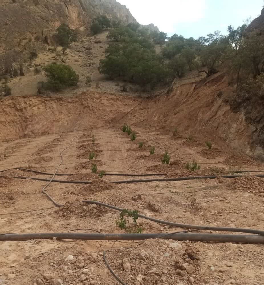 پایش و نظارت در محیط زیست ,