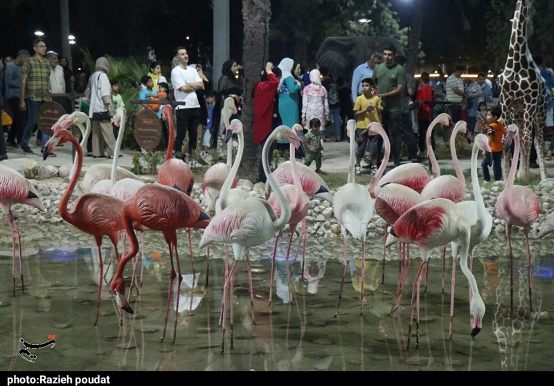 تور رسانهای عدالت اجتماعی قوه قضائیه به هرمزگان رسید + تصاویر