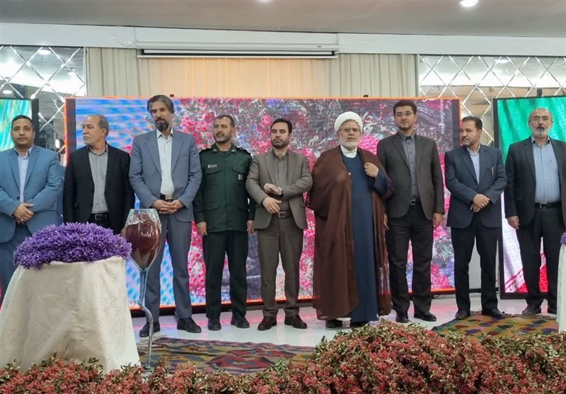دومین جشنواره ملی زرشک در خراسان جنوبی آغاز بهکار کرد + تصویر