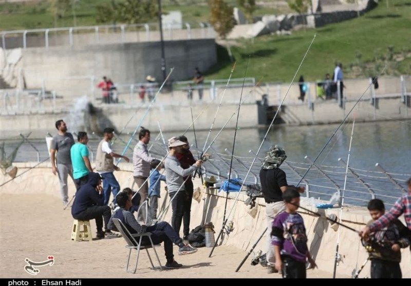 نخستین المپیاد ورزشهای ساحلی و دریایی خراسان رضوی در مشهد +تصاویر