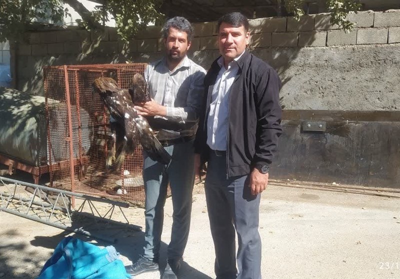 پایش و نظارت در محیط زیست ,