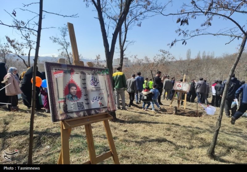 آیین کاشت 3535 نهال در زنجان+تصاویر