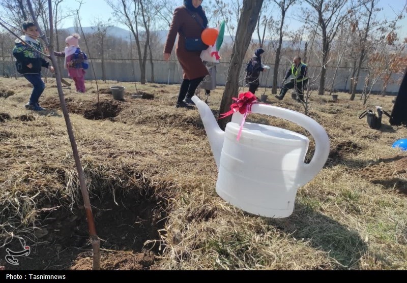 آیین کاشت 3535 نهال در زنجان+تصاویر