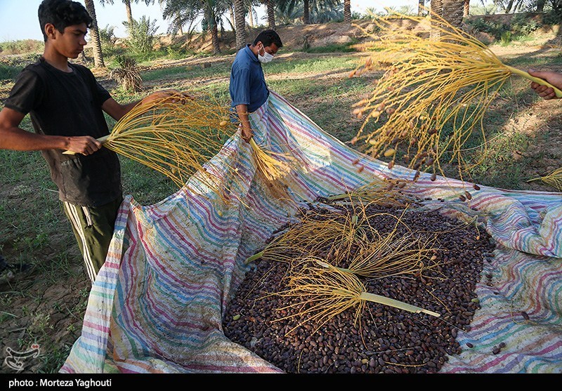 اخبار بلوچستان ,