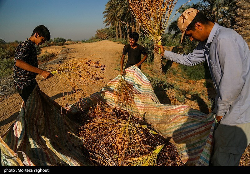 اخبار بلوچستان ,
