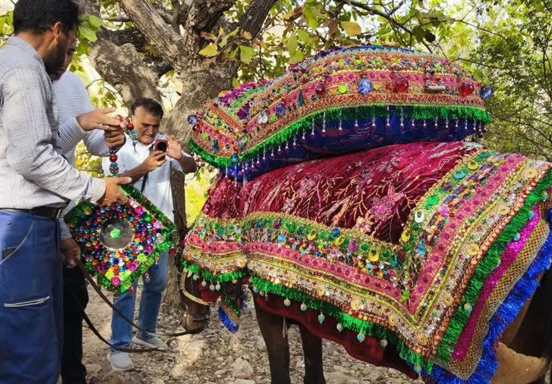 اخبار استان خراسان جنوبی , خبرگزاری تسنیم , گردشگری ,