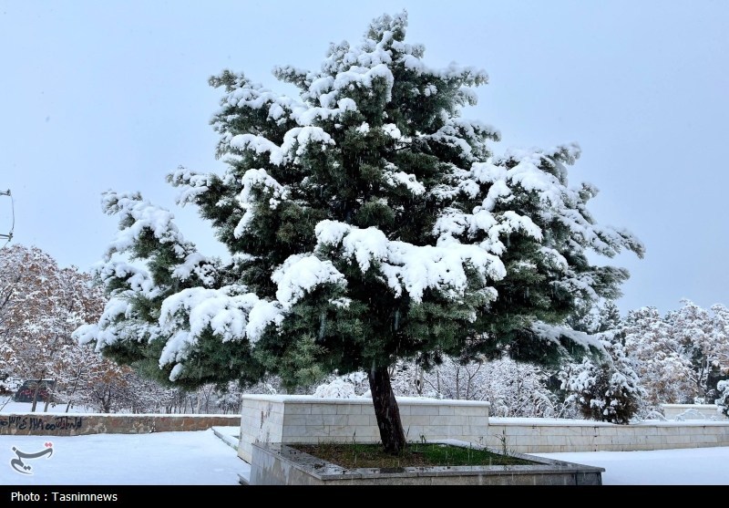 اخبار استان خراسان شمالی ,