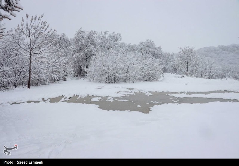 باران , اخبار استان خراسان جنوبی ,