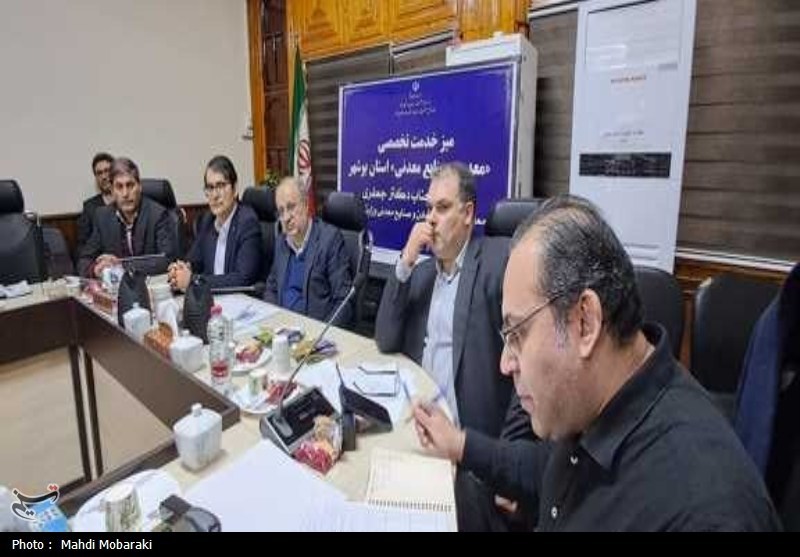 صنایع معدنی , اخبار استان بوشهر , معدن ,