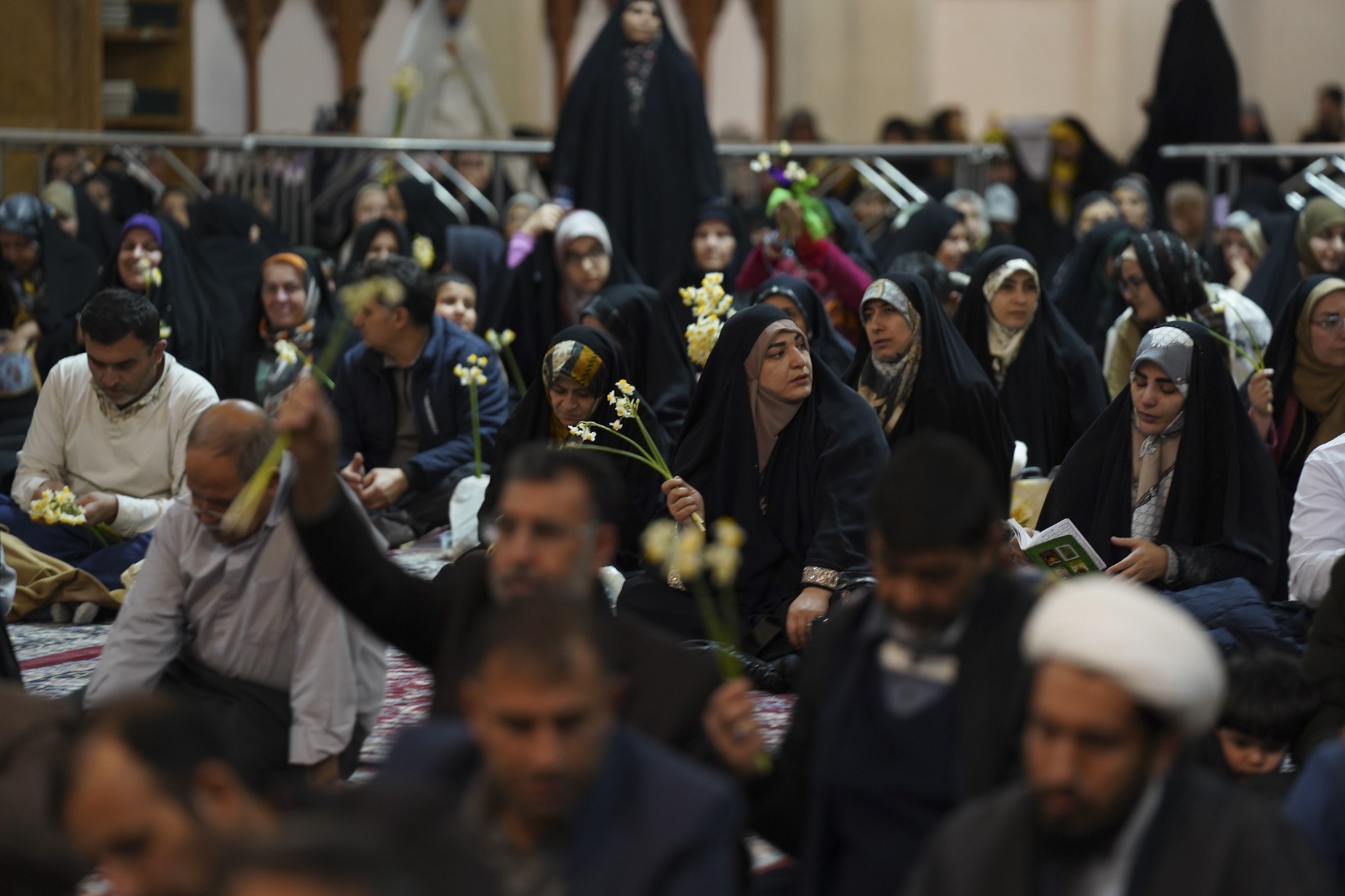 اخبار شیراز , اخبار استان فارس ,