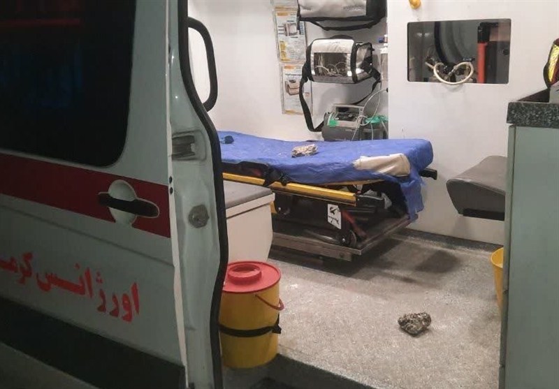 اخبار استان کرمانشاه , اخبار کرمانشاه ,