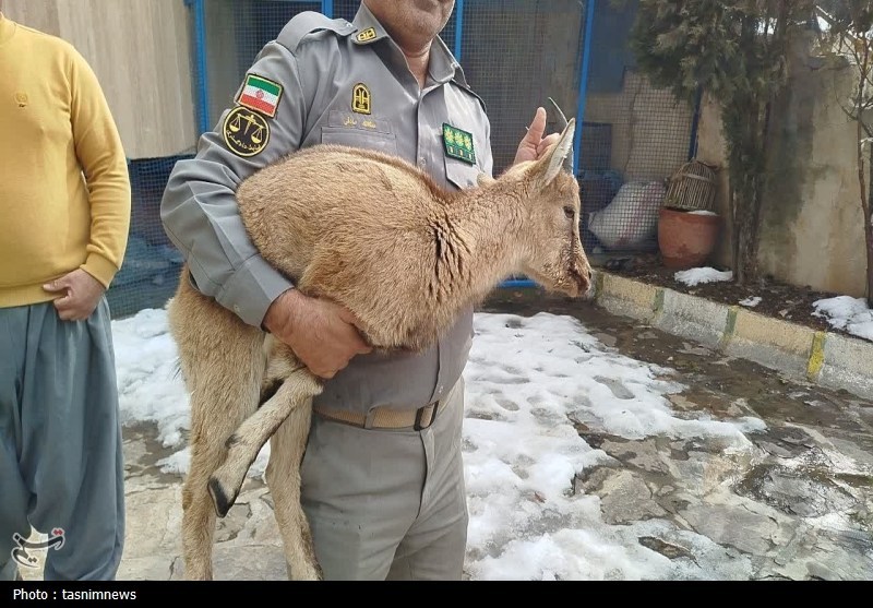 اخبار سنندج , اخبار استان کردستان , پایش و نظارت در محیط زیست ,