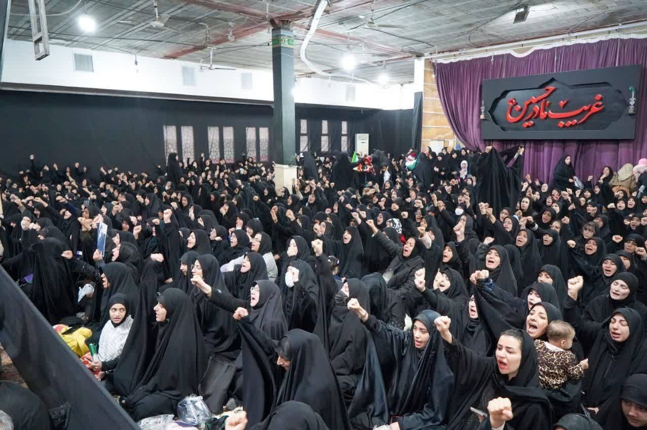اخبار شیراز , اخبار استان فارس ,