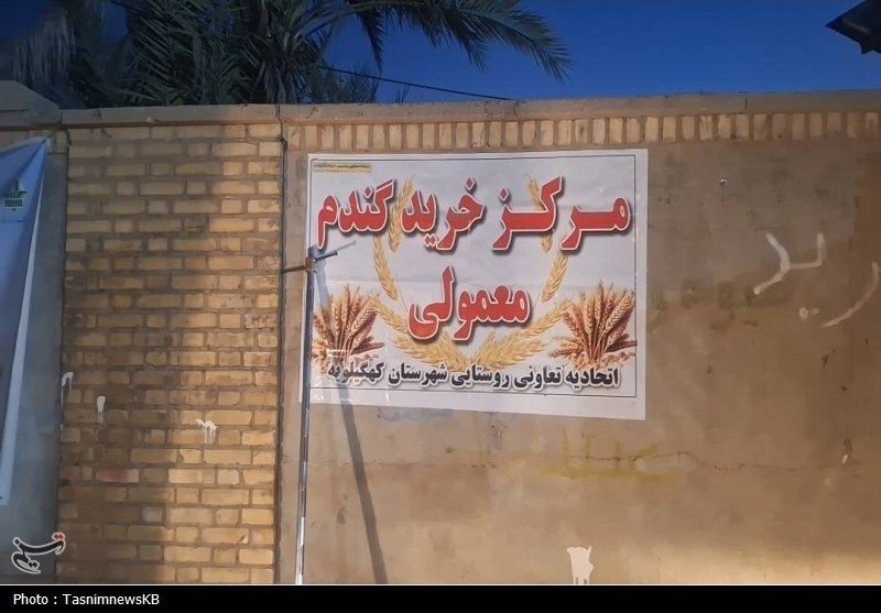 اخبار کهگیلویه , کشاورزی ,