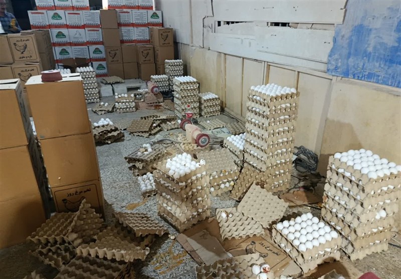 اخبار شهر ری ,