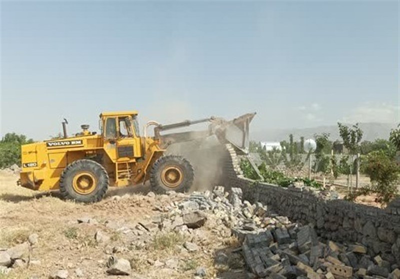 اخبار نیشابور , خراسان رضوی , اخبار استان خراسان رضوی , کشاورزی ,