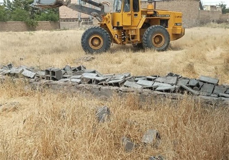 اخبار نیشابور , خراسان رضوی , اخبار استان خراسان رضوی , کشاورزی ,
