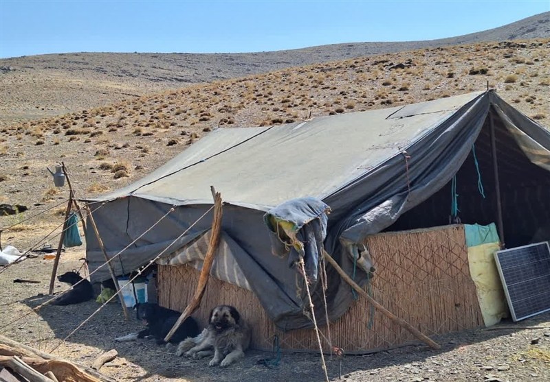 اخبار استان همدان , اخبار ملایر ,